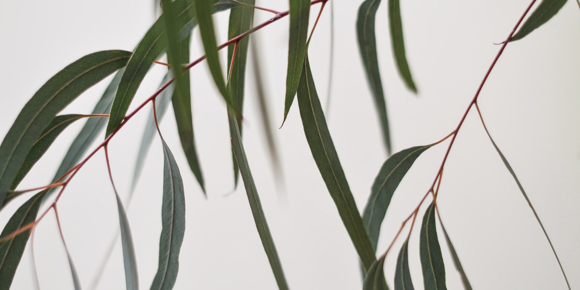 sustainable-yarns-3 Sustainable Yarns