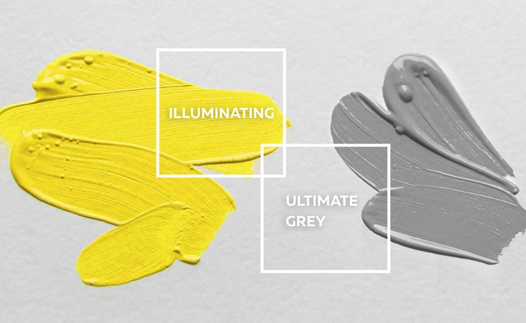 Veri Peri Pantone 23