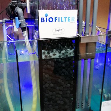 pitti immagine filati 90 coloreel ricami iafil