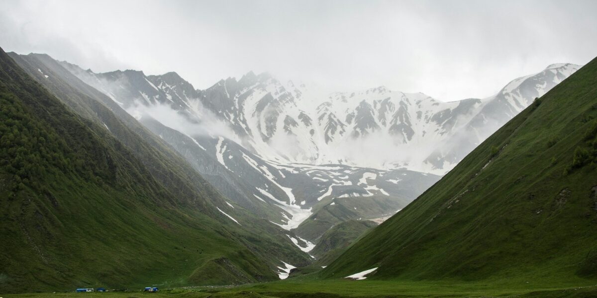 Biodiversity and Knitwear The Connection We Overlook cover