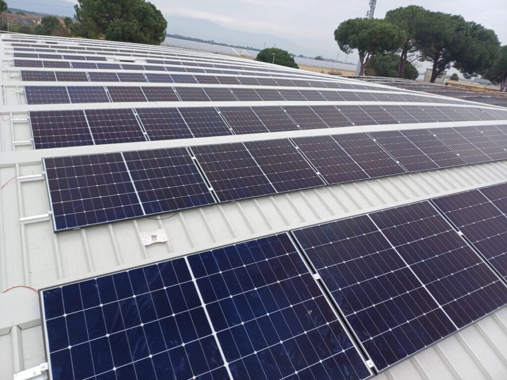 Sustainability in Knitwear How our company contributes