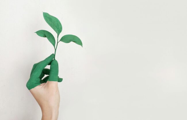 Naia and Circulose Innovation and Sustainability for the Knitwear of the Future Naia and Circulose Innovation and Sustainability for the Knitwear of the Future