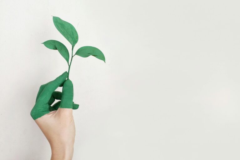Naia and Circulose Innovation and Sustainability for the Knitwear of the Future Naia and Circulose Innovation and Sustainability for the Knitwear of the Future