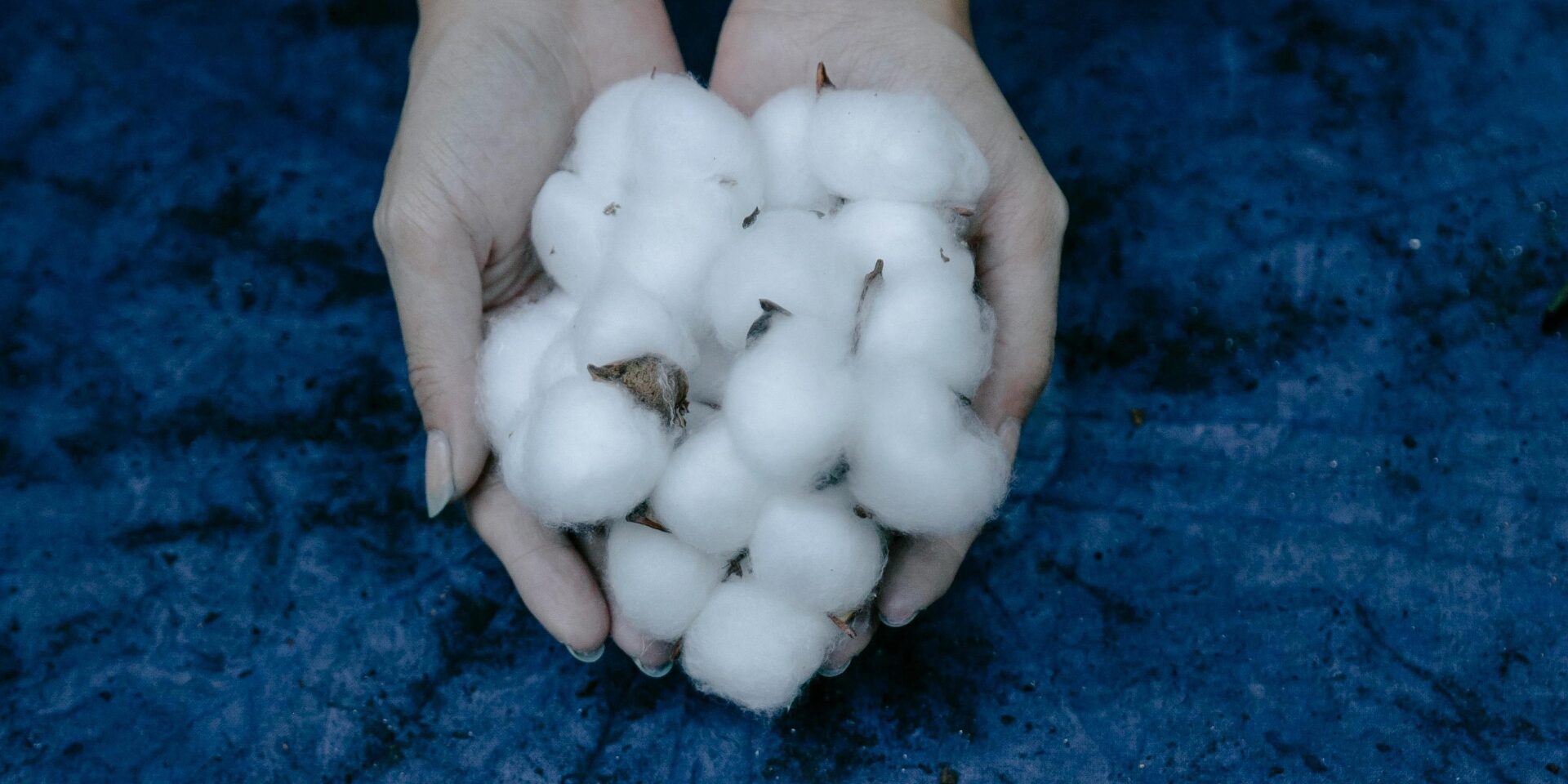 Fibre52 Revolutionizing the Textile Industry