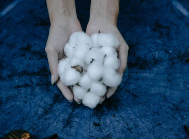 Fibre52 Revolutionizing the Textile Industry Fibre52 Revolutionizing the Textile Industry