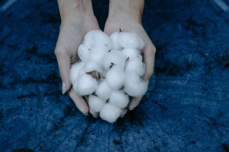 Fibre52 Revolutionizing the Textile Industry Fibre52 Revolutionizing the Textile Industry